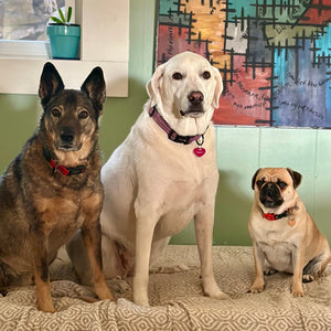 Farmhouse Hemp dogs