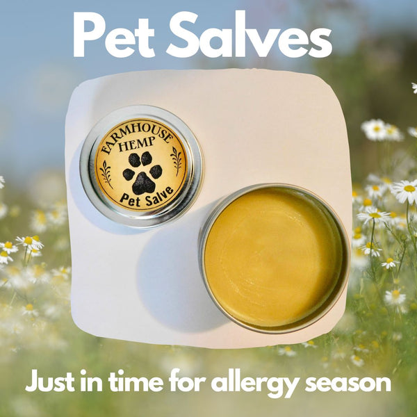 The Benefits of CBD Pet Salve