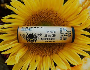 Lip Balm