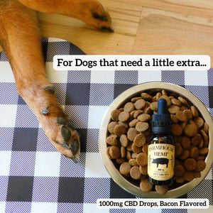 High Strength CBD Pet Drops, 1000mg, Bacon Flavored