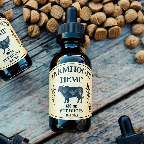 CBD for Dogs, Beef Flavored CBD Drops for Dogs